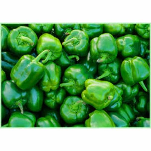 A Grade Green Organic Capsicum, Pan India