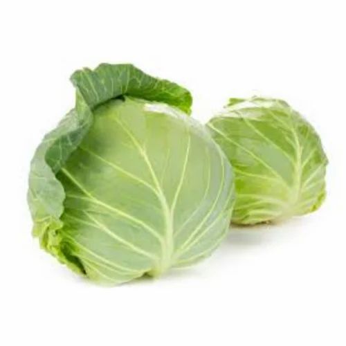 Green A Grade Organic Cabbage