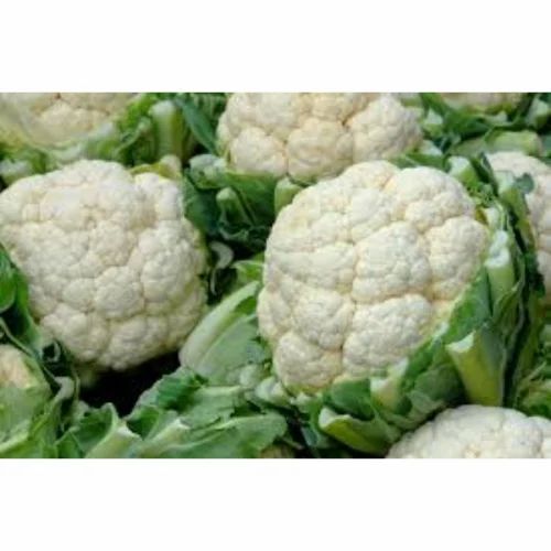 A Grade Organic Cauliflower, Packaging: Loose