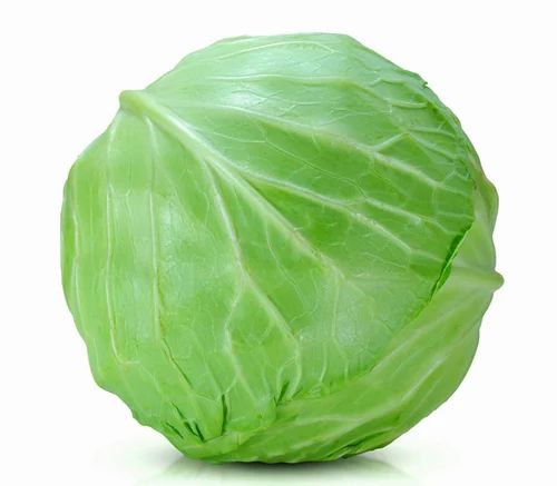 A Grade Organic Cabbage