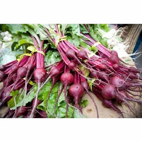 Fresh Organic Beetroot