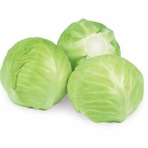 Fresh Organic Cabbage