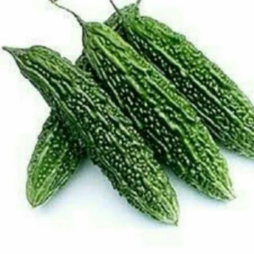 Kerala Green Organic Bitter Gourd, Pesticide Free (for Raw Products)