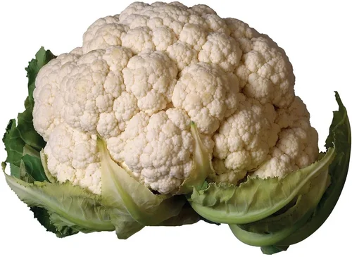 A Grade Organic White Cauliflower