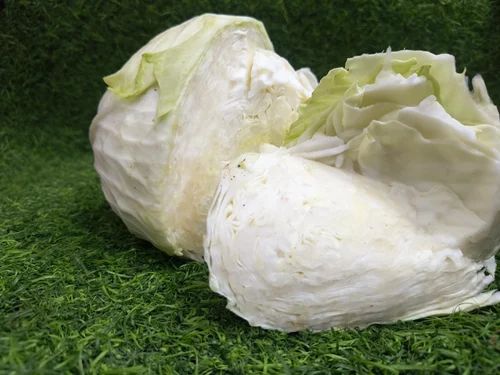 Organic Fresh Cabbage