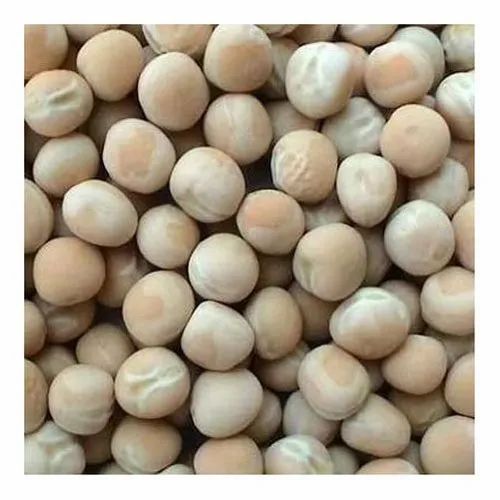 White Pea, Packaging Size Available: 50kg