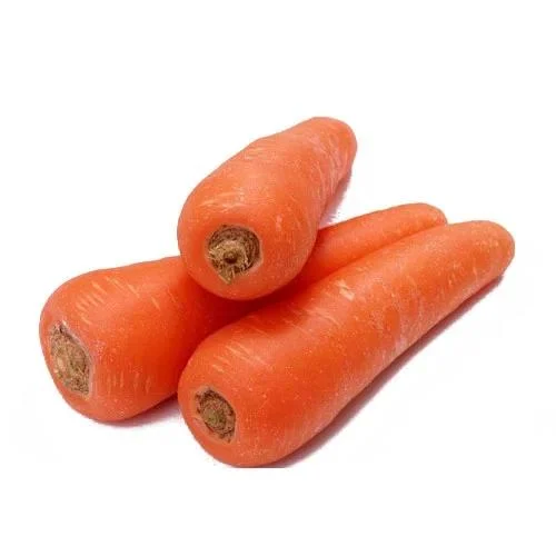 Carrot