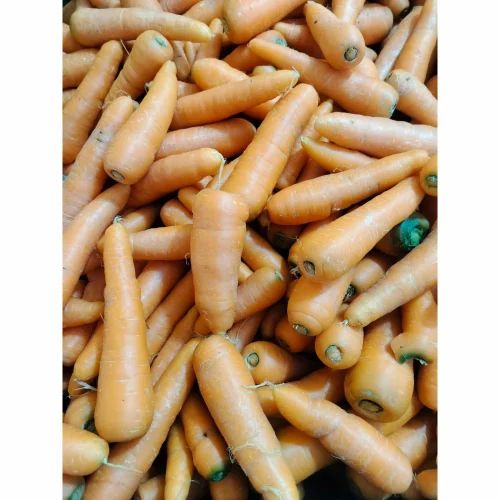 A Grade Carrot