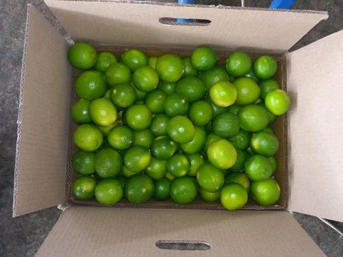 A Grade Green Fresh Lemon, Packaging Size: 10 Kg, Packaging Type: Carton
