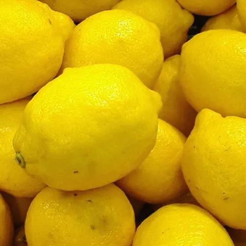 Seedless Organic Lemon, Packaging Size: 5-25 Kg, Packaging Type: Net Bag