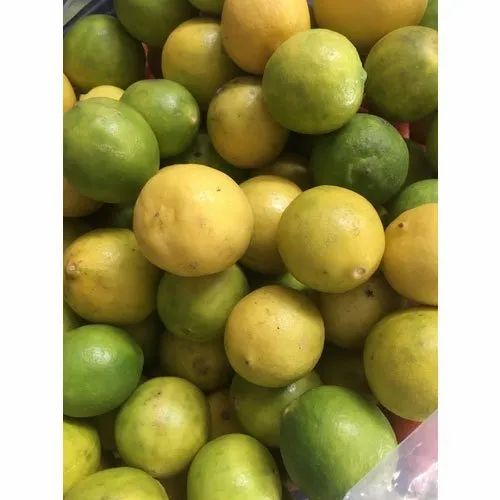 A Grade Organic Lemon, Packaging Size: 5-25 Kg, Packaging Type: Net Bag