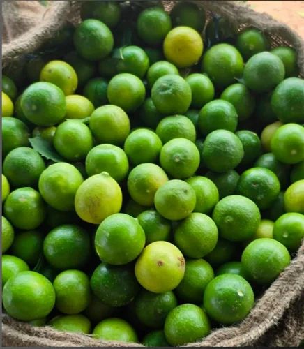 A Grade Rasaali Green Lemon, Packaging Type: Loose