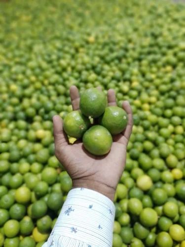 A Grade Pan India Lemon, Packaging Size: 10 Kg