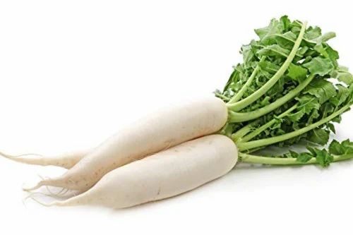 Tamil Nadu Organic White Radish