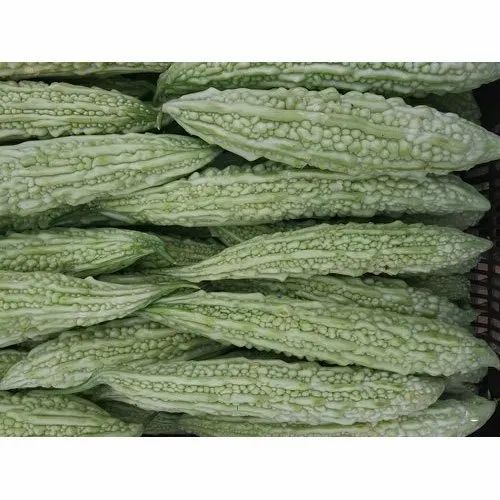 A Grade Organic Bitter Gourd, Gunny Bag, Available in 10,20 and 50kg