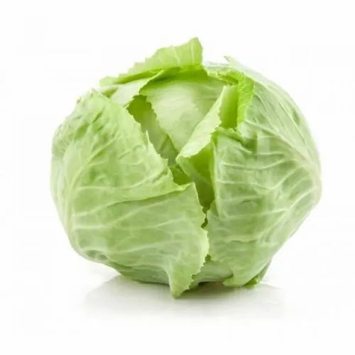 Organic Cabbage, Packaging Type: Pp Bag