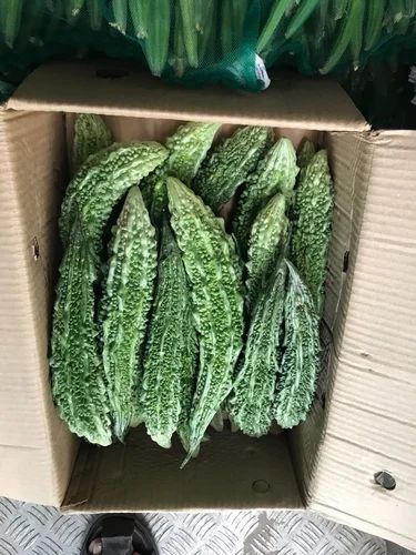 Organic Bitter Gourd