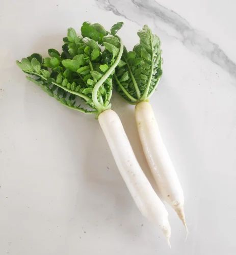 Organic Fresh Radish