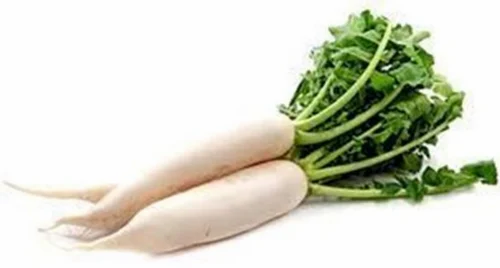 Fresh Radish