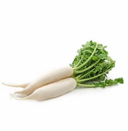 Fresh Radish