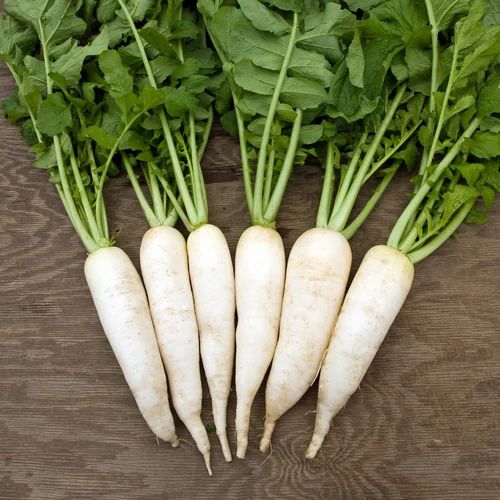 Fresh Radish, Pesticide Free (for Raw Products)