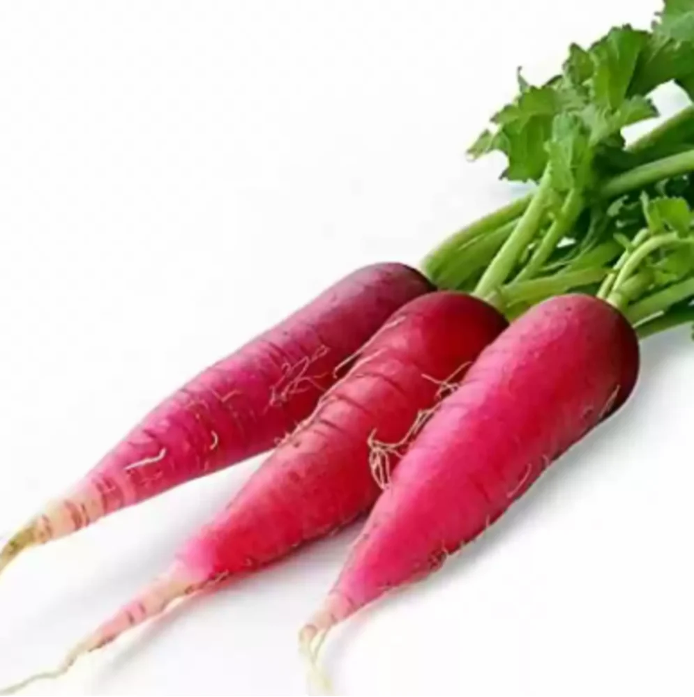Organic Red Radish