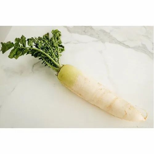 A Grade Organic Radish, Packaging Size: 50 Kg, Packaging Type: Gunny Bag