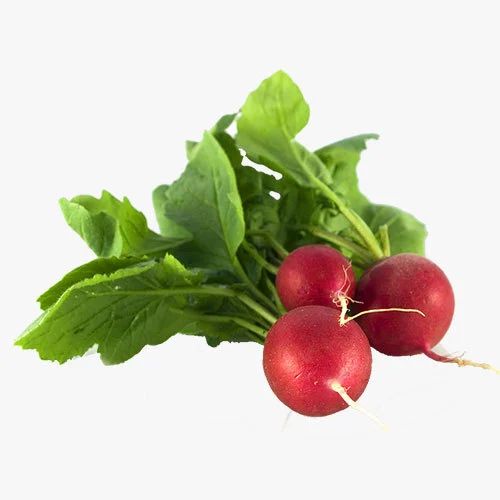 Organic Radish