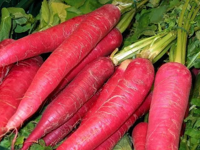 Fresh Radish