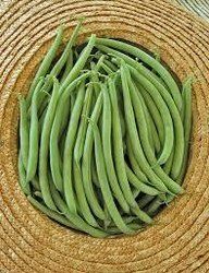 Organic Beans