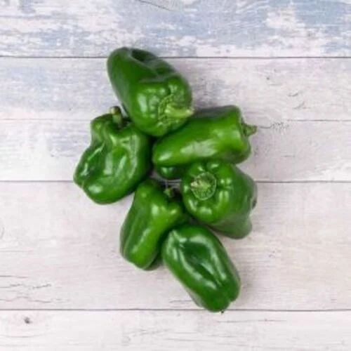 Organic Capsicum