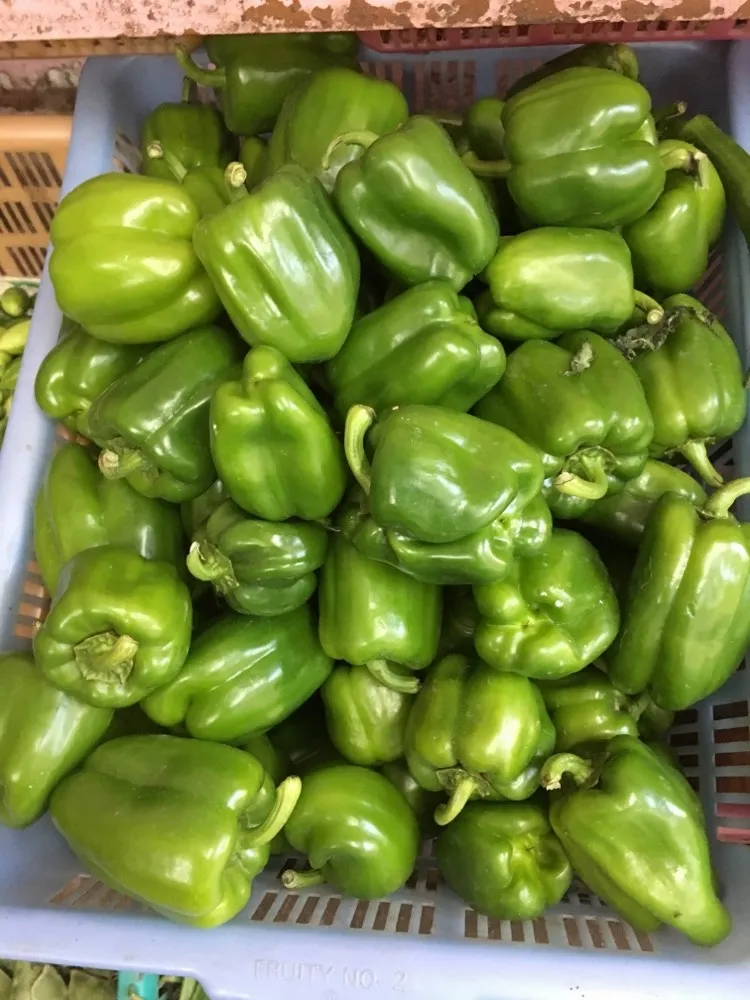 Shimala Mirchi