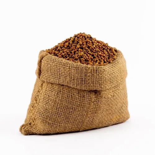 Organic Moth Bean