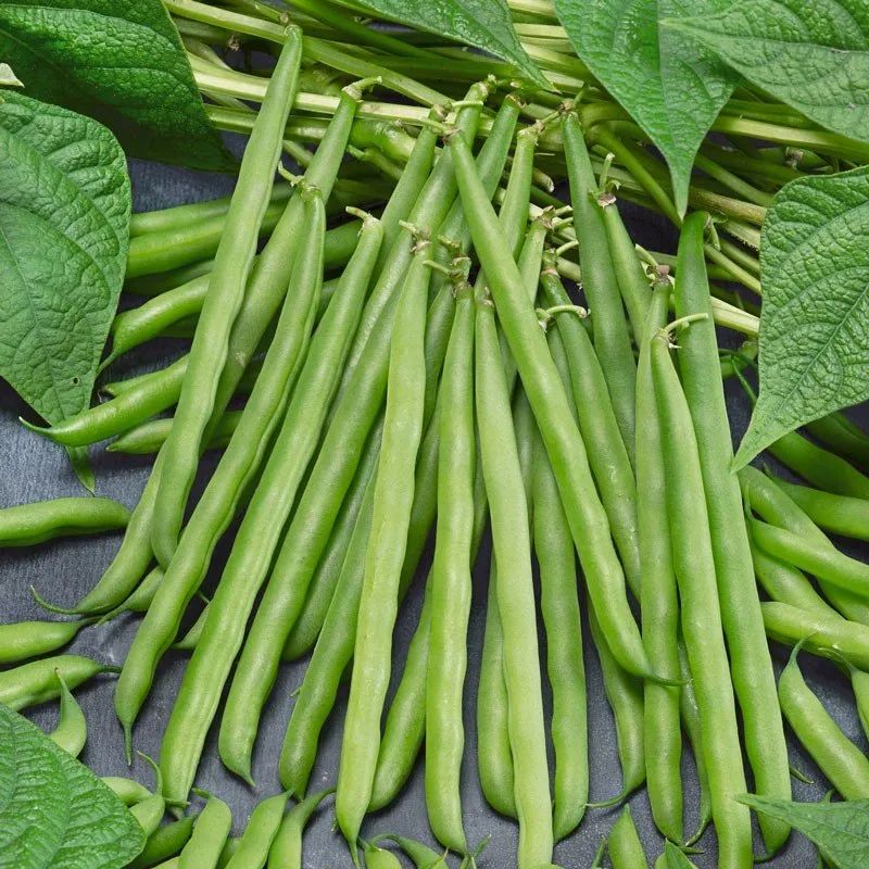 Telangana Organic Beans, Pesticide Free (for Raw Products)
