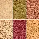 Organic Pulses and Beans