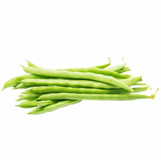 Organic Bean