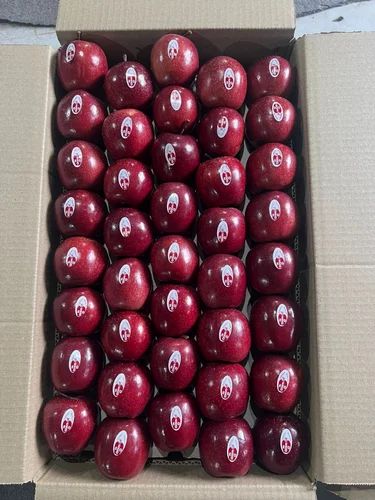 A Grade Red Delicious Apple
