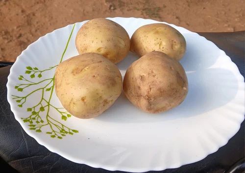 Organic Fresh Potato