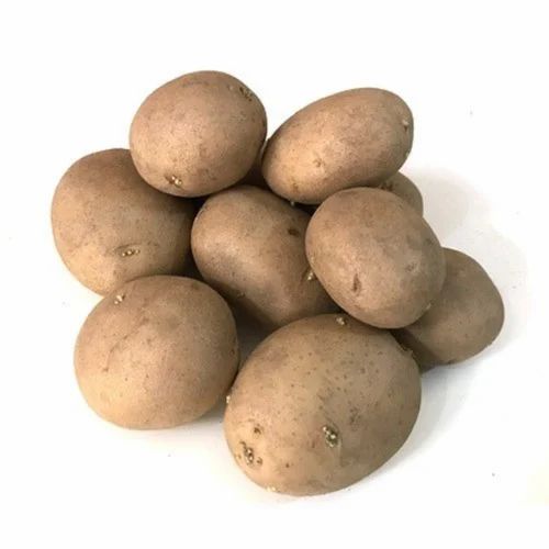 Brown Kufri Chipsona Potato