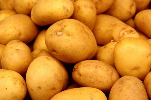 Yellow Fresh Organic Potato, 45Mm+, For Processing