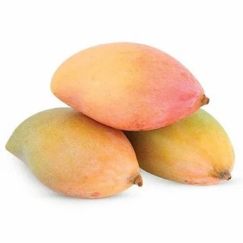Fresh Totapuri Mango - Large