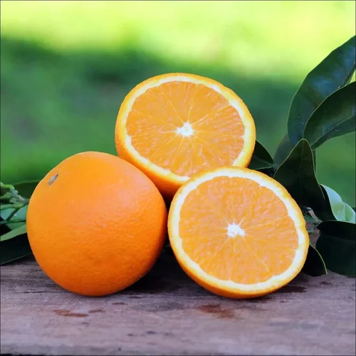 Organic Navel Oranges (20 kg Pack)