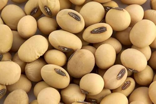 Loose Whole Soybean