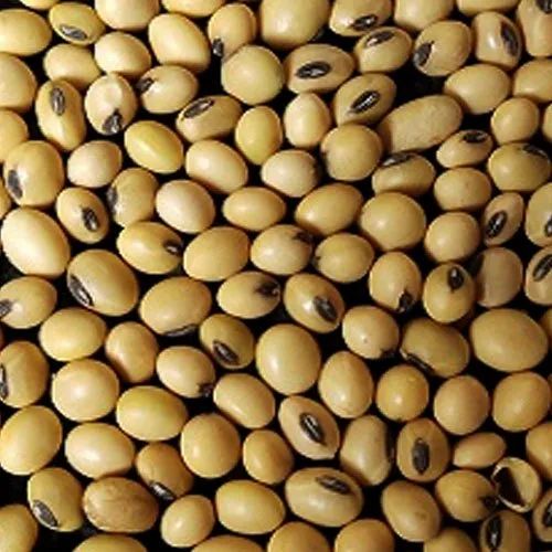 InnoVeg Graded Whole Organic Soybean, Packaging Size: 50kg