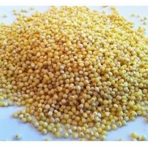 Yellow Millet