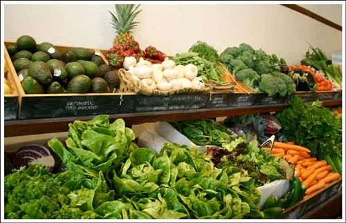 Organic Grocery