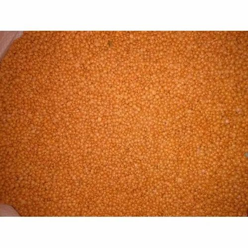 Indian Organic Masoor Dal, High in Protein