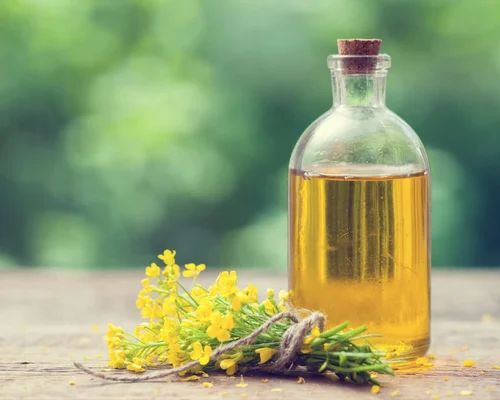 Canola Oil, Diabetics, High In Protein