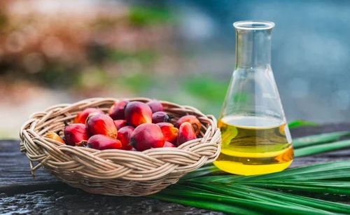 Rbd Palm Oil