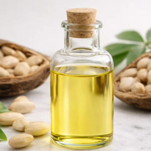 Refined Pracaxi Oil, 15 kg